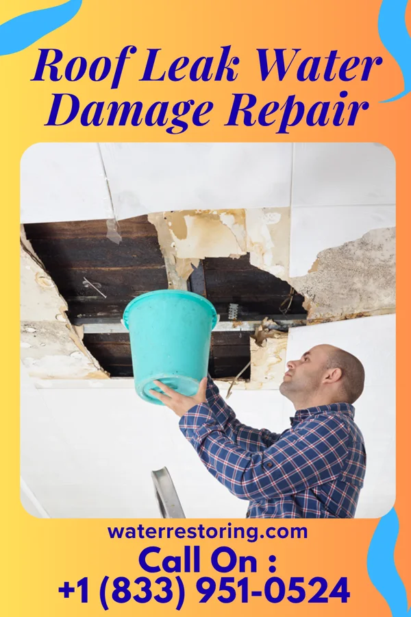 Roof Leak Water Damage Repair in Emerson, NE